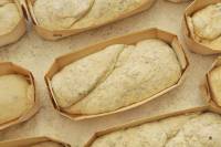 Fabrication du pain - Pâton de pain spécial avant cuisson